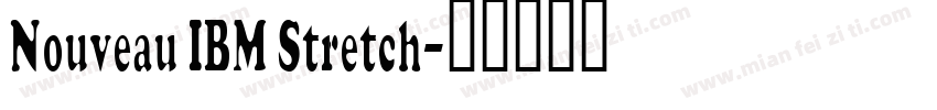Nouveau IBM Stretch字体转换